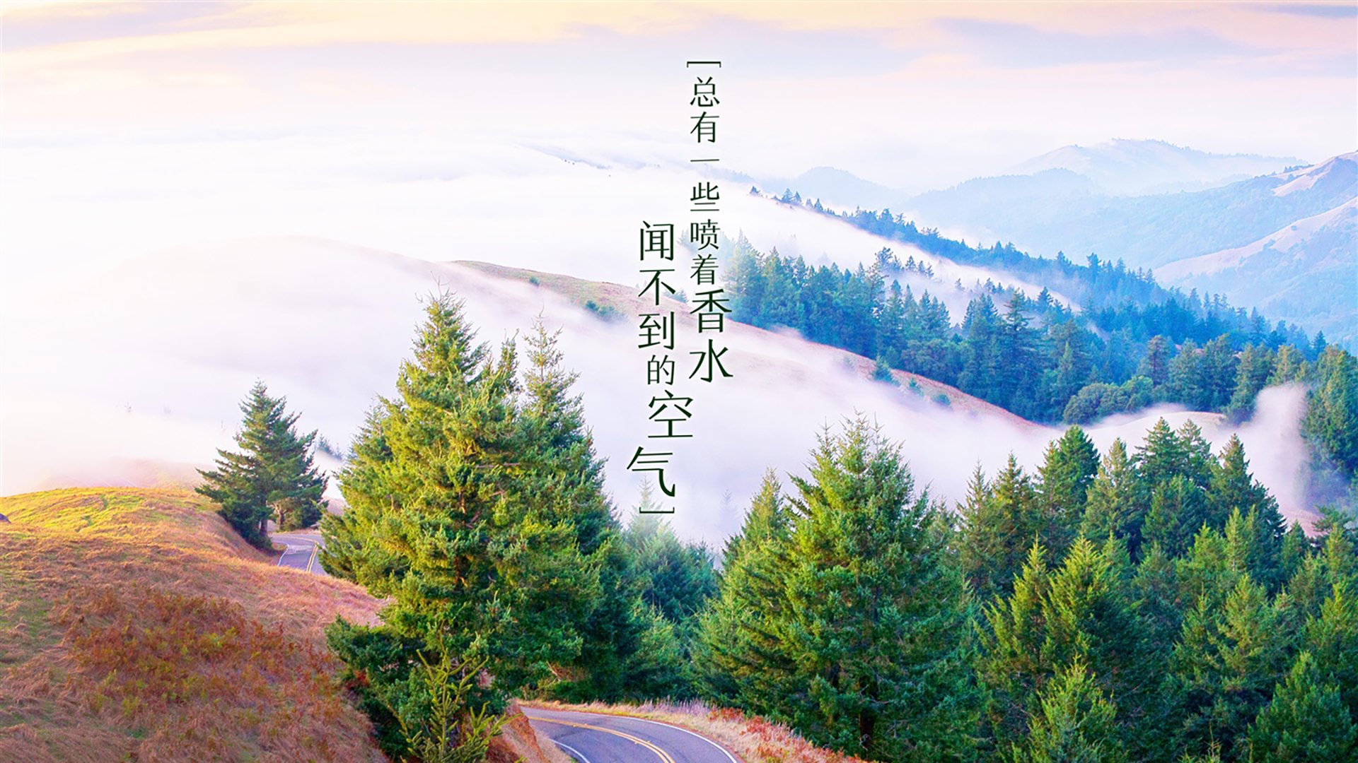 世俱杯网址-Valorant国际邀请赛精彩瞬间集锦，valorant比赛规则