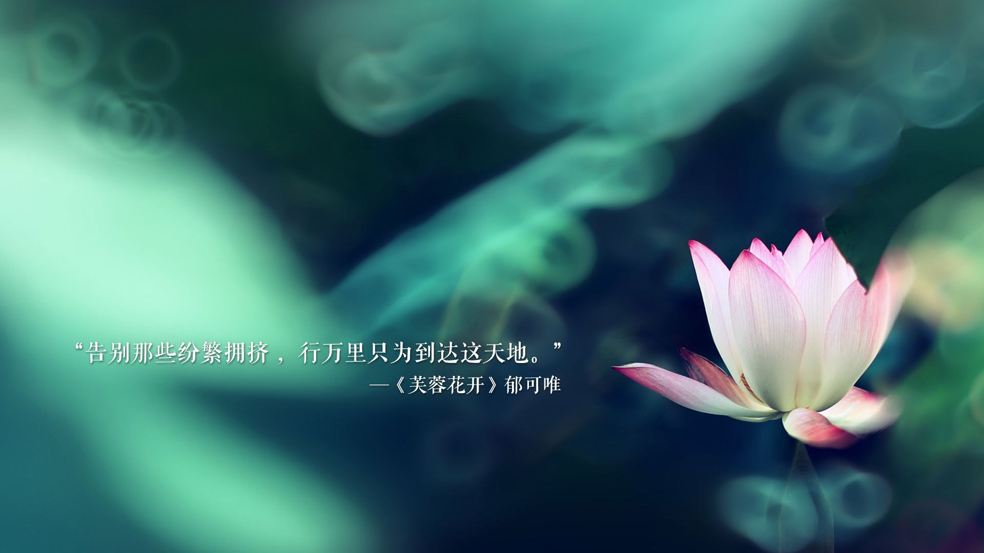 以运动传递奋发精神，鼓励青少年积极向上，青年人请以运动致青春作文800字