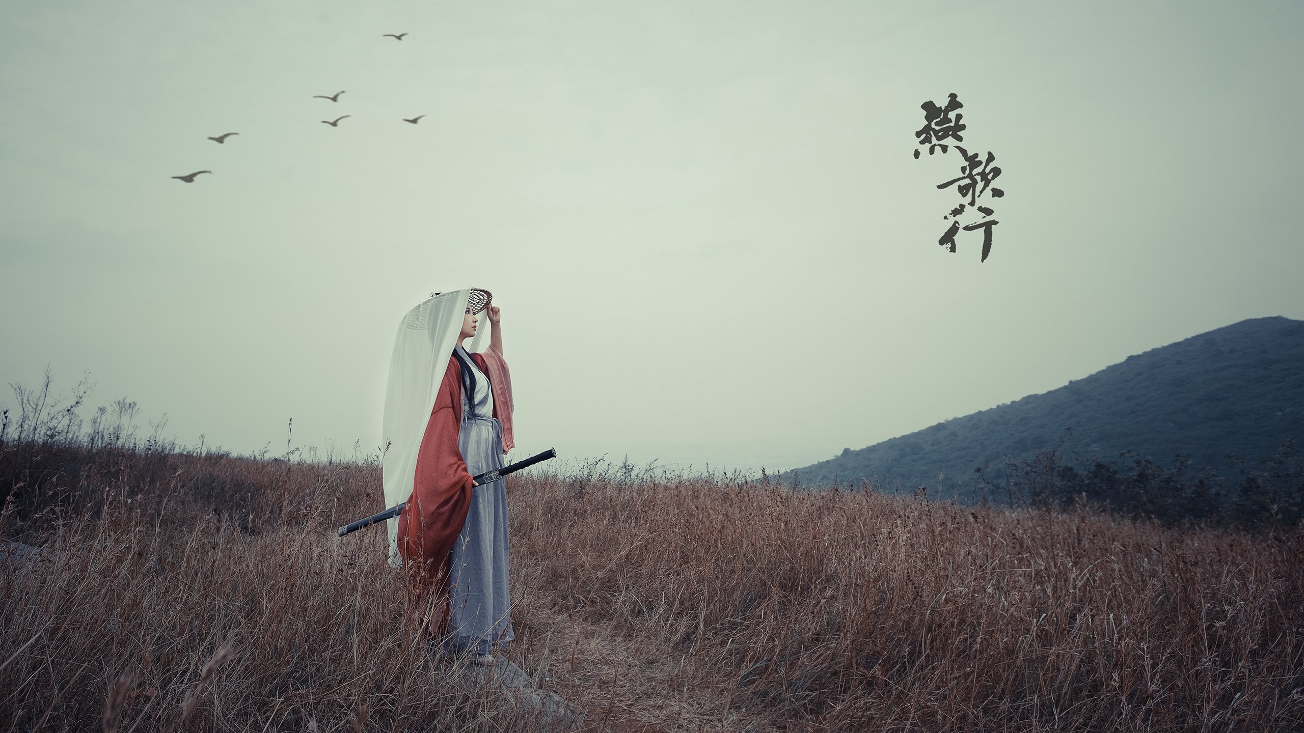 德甲紧咬战，球迷热烈讨论，德甲消息