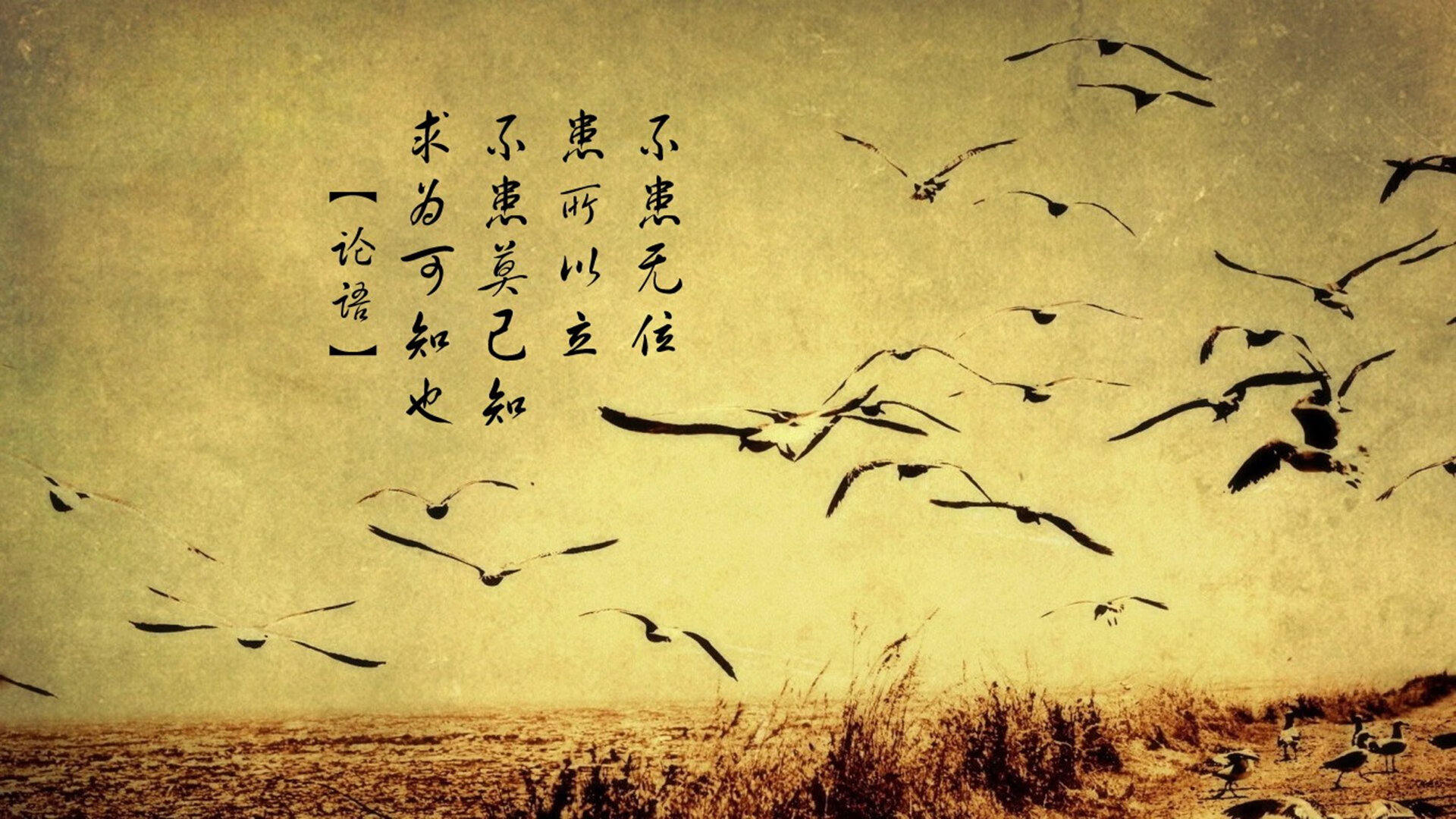 青少年篮球“梦想之光”公益巡演走进偏远山村，青少年篮球舞蹈表演