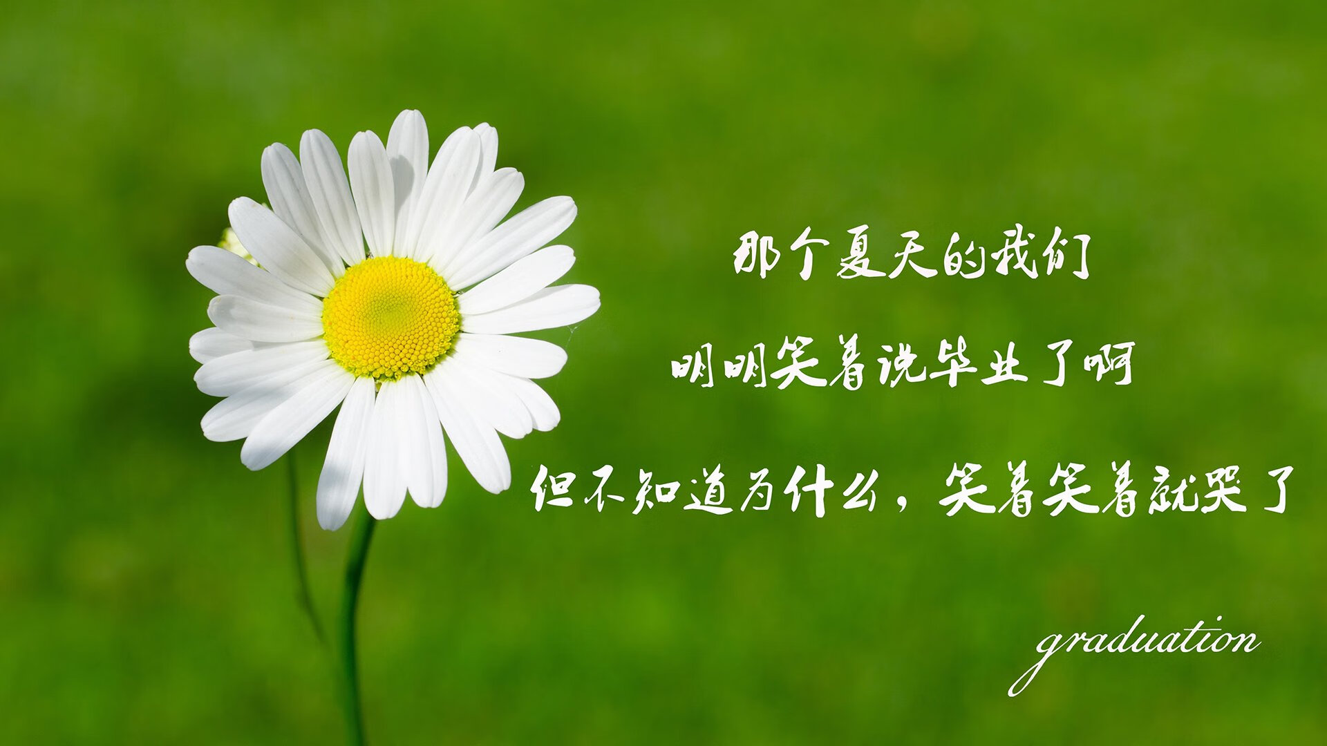 荷兰逆袭击败奥地利，锁定欧锦赛小组头名，欧洲国家联赛荷兰