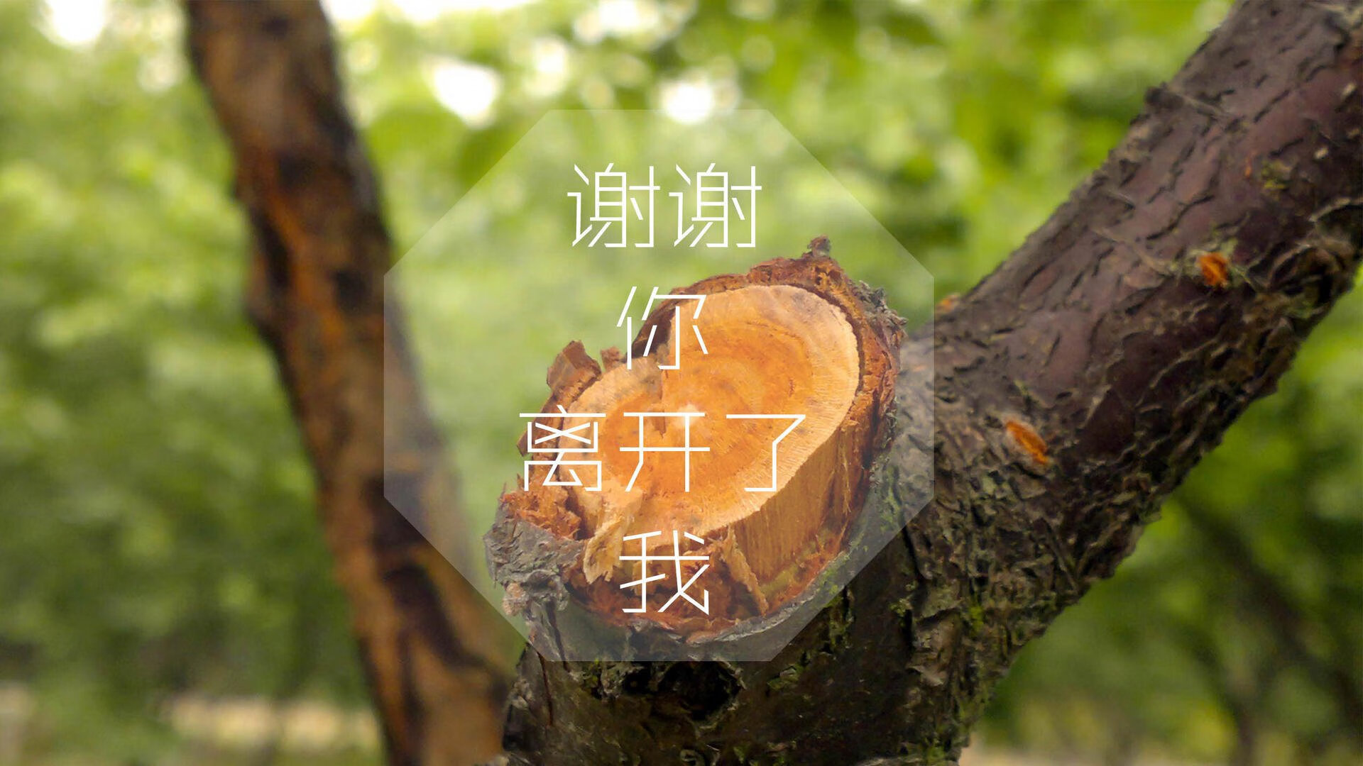 战术革新：现代足球中的“空间控制”战略