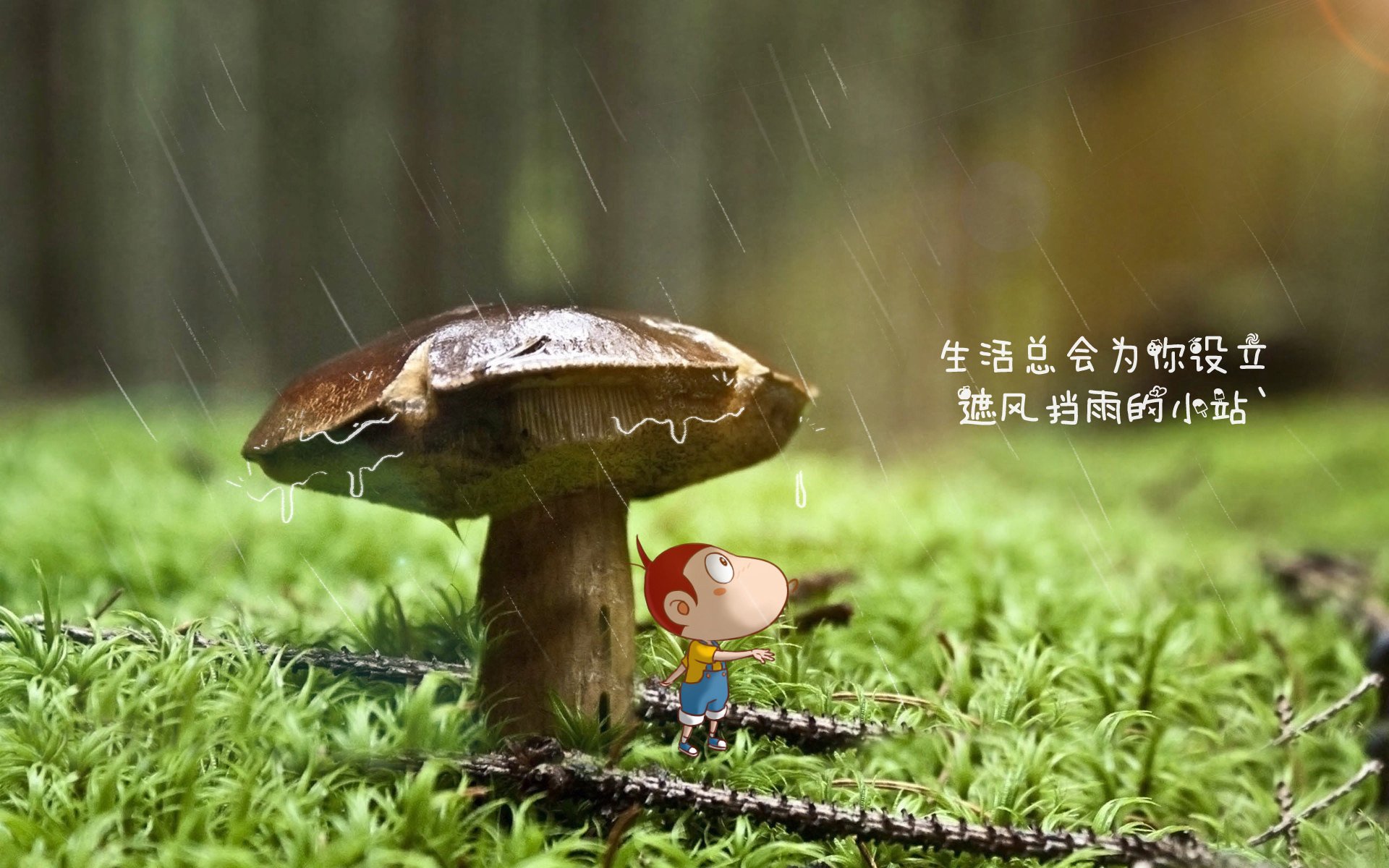 篮球运动员训练负荷科学管理研究，篮球课运动负荷