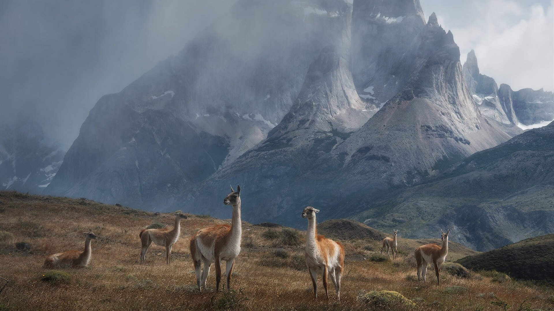 英超球队基于运动表现数据的战术布置调整案例，英超战术分析