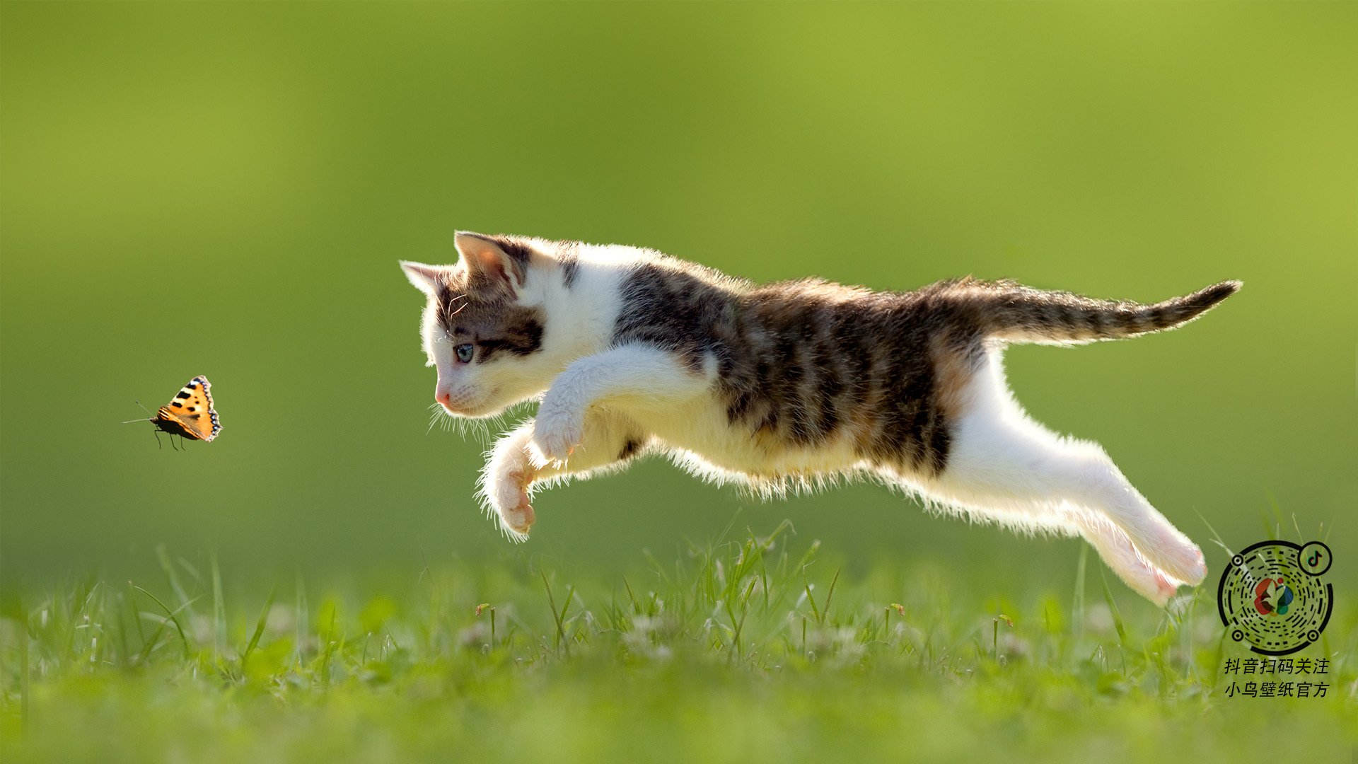 高校体育专业课程体系改革创新研究，高校体育改革发展趋势