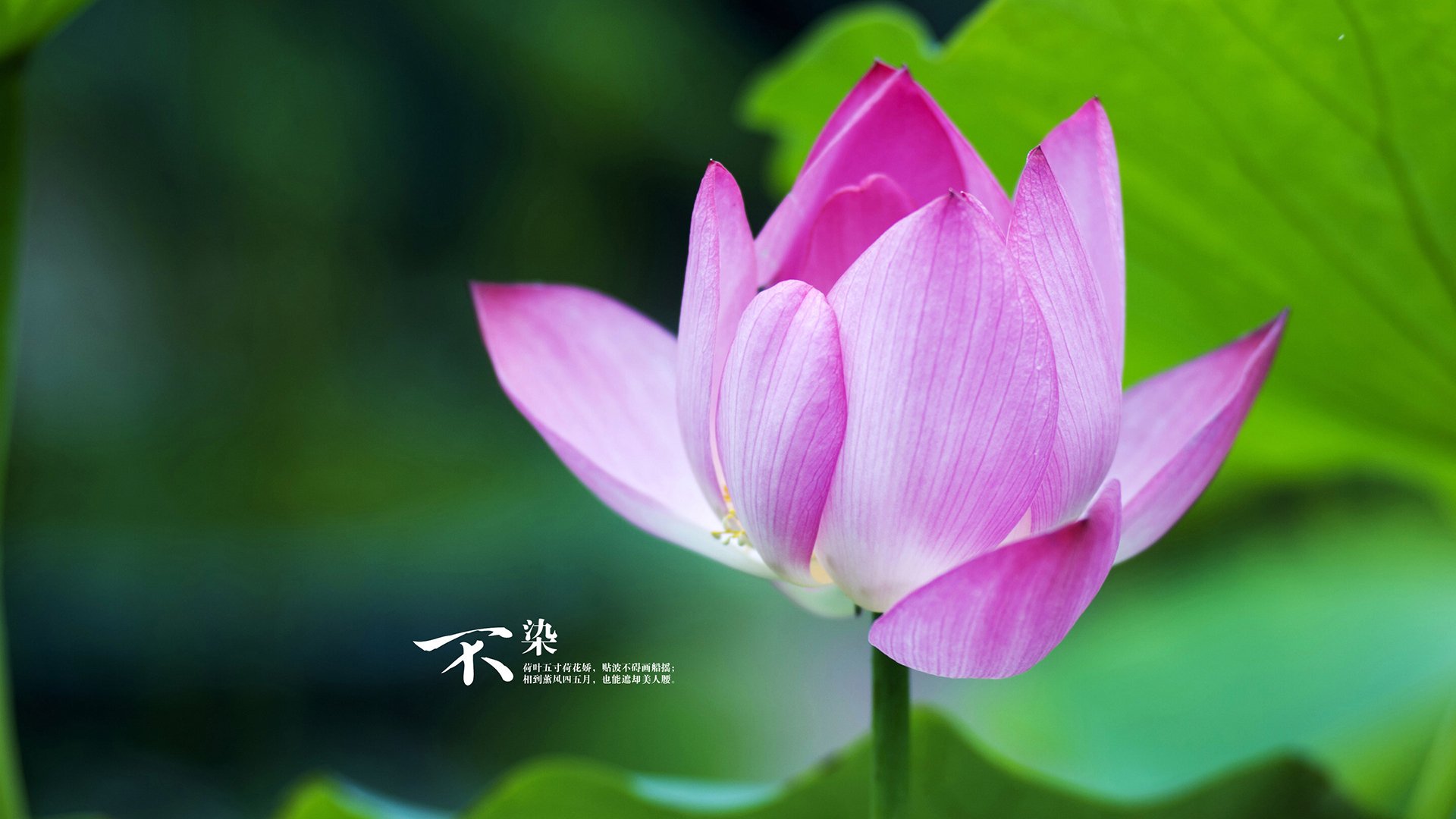 中国女篮防守反击效率提高，中国女篮战术